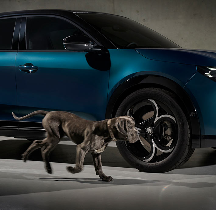 junior suv citadin alfa romeo valence design peintures voiture hybride electrique drome ardeche valence