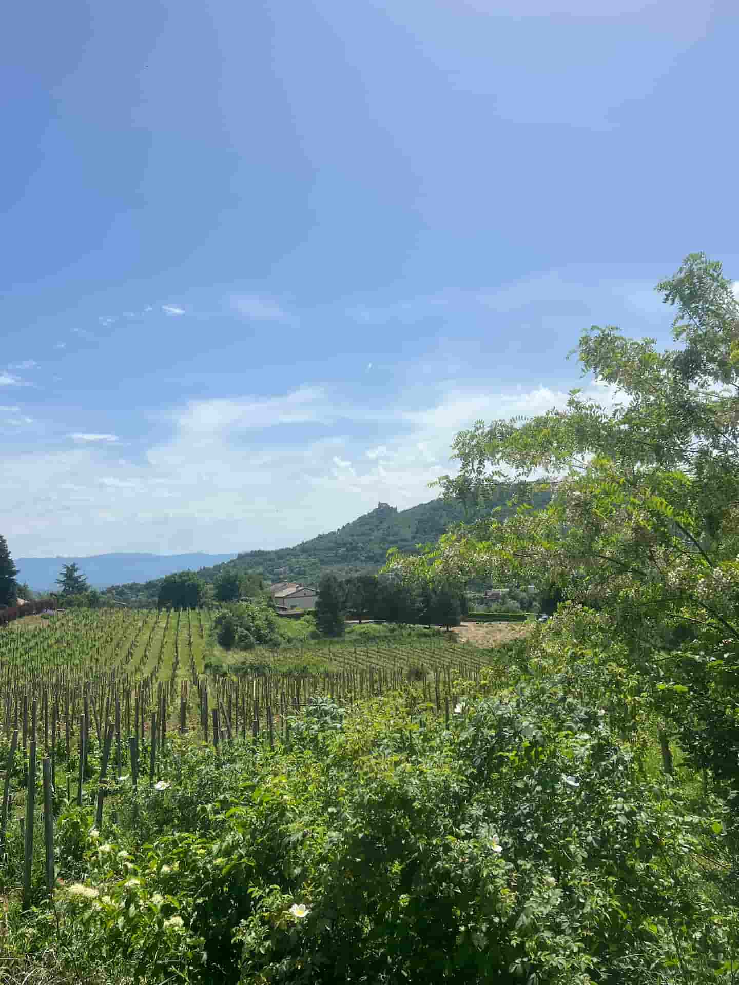 alfa romeo valence evenement local rhone crussol.jpg