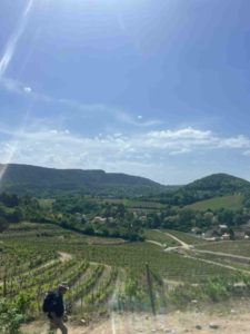 alfa romeo valence saint peray degustation vin.jpg (2)