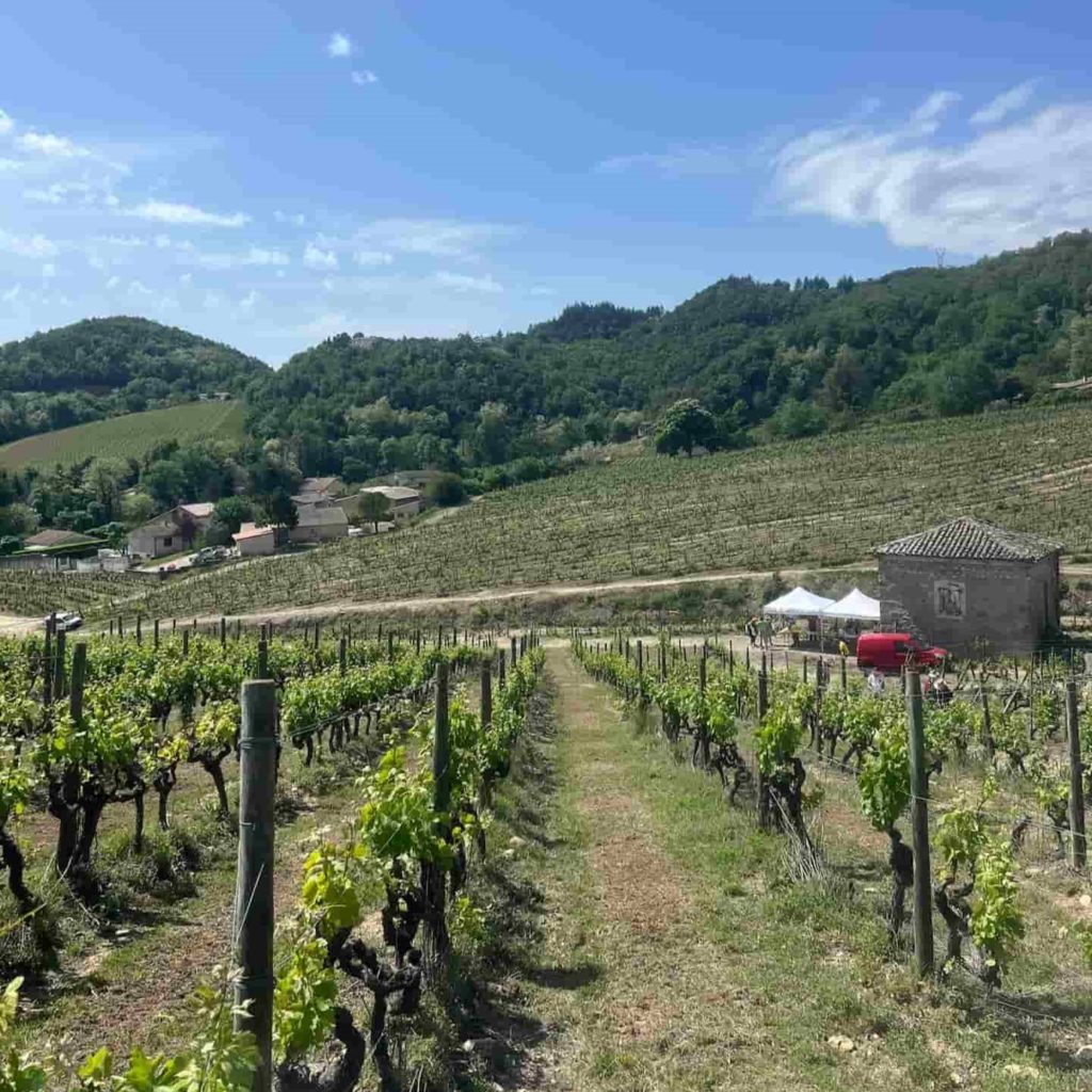 alfa romeo valence vignes et saveurs 2025.jpg